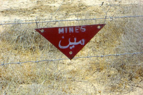 International Day of Mine Awareness and Assistance in Mine Action 2017