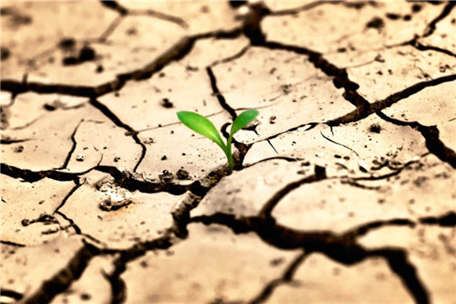 World Day to Combat Desertification and Drought 2017