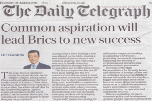 Common Aspiration Will Lead BRICS to New Success