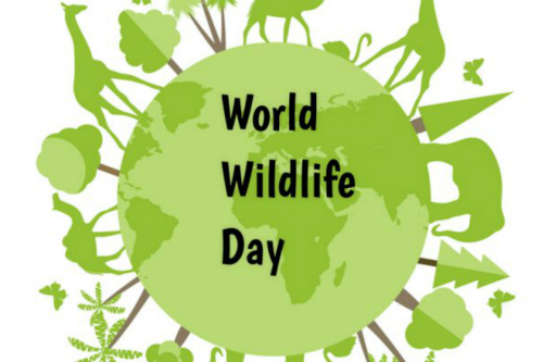 World Wildlife Day 2018
