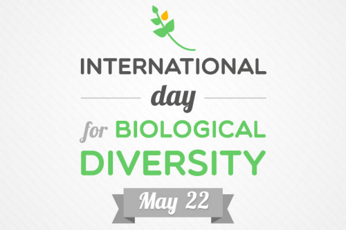 International Day for Biological Diversity 2018