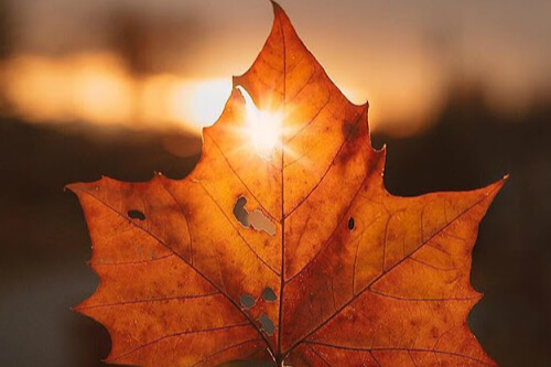 The Voice of Autumn by William Cullen Bryant 