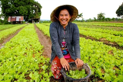 International Day of Rural Women 2018