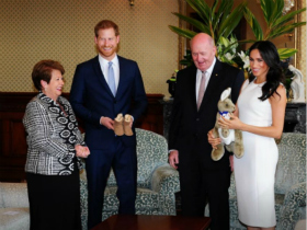 哈里王子在澳大利亚总督举行的欢迎会上的讲话