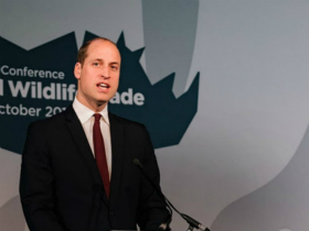 威廉王子在2018年打击野生动物非法贸易伦敦国际会议上的演讲