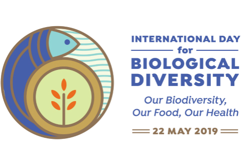 Message on the International Day for Biological Diversity 2019