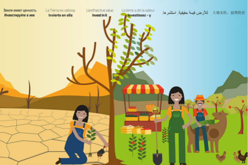 World Day to Combat Desertification and Drought 2019
