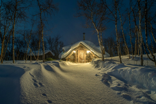 流沙河《雪夜》英语翻译