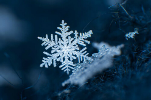 Snow-Flakes by Henry Wadsworth Longfellow