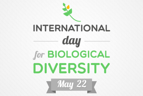 International Day for Biological Diversity 2020