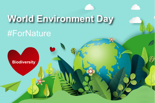 World Environment Day 2020