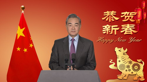 王毅外长向驻华使团发表新年视频致辞