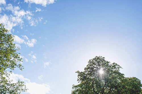 International Day of Clean Air for Blue Skies 2021