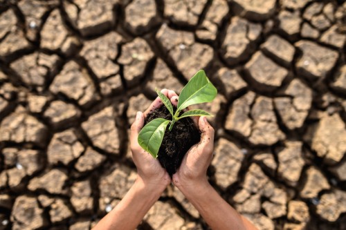 World Day to Combat Desertification and Drought 2025
