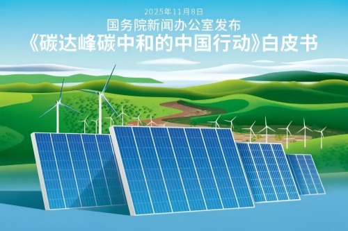 碳达峰碳中和的中国行动全文