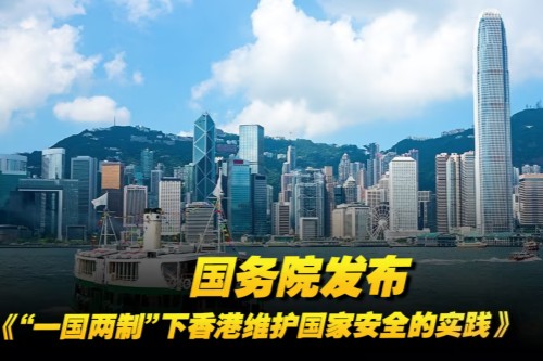 《“一国两制”下香港维护国家安全的实践》白皮书权威