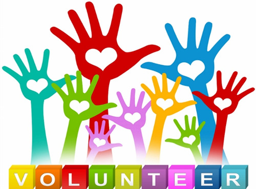 International Volunteer Day 2016