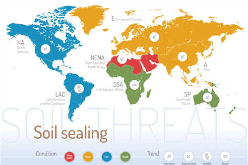 World Soil Day 2016