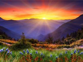 散文翻译：An October Sunrise